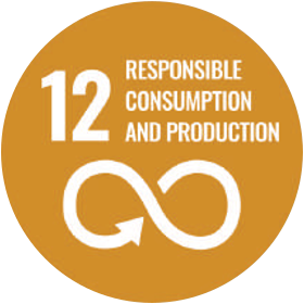 UN Sustainable Development Goal 12 — Responsible Consumption and Production