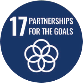 UN Sustainable Development Goal 17 — Partnerships for the Goals